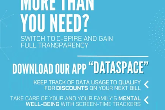 Cspire Challenge: Network Data Collection Software